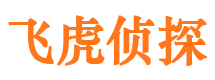 呼玛市调查公司